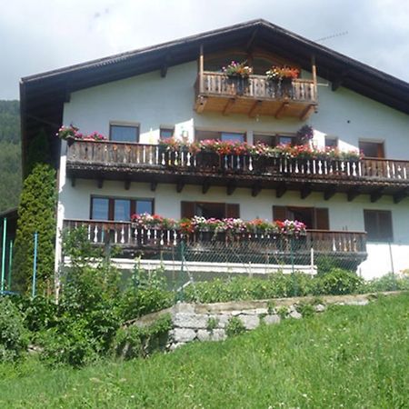 Bauernof Mittermueller Daire Feldthurns Dış mekan fotoğraf