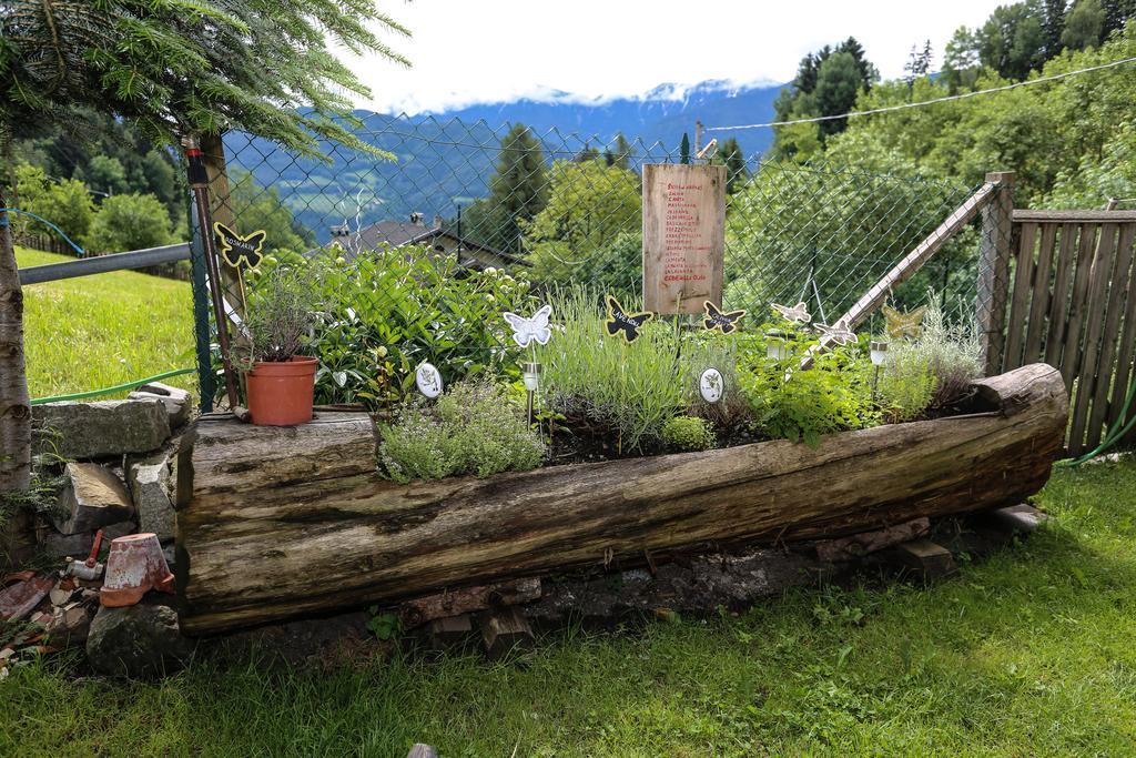 Bauernof Mittermueller Daire Feldthurns Dış mekan fotoğraf
